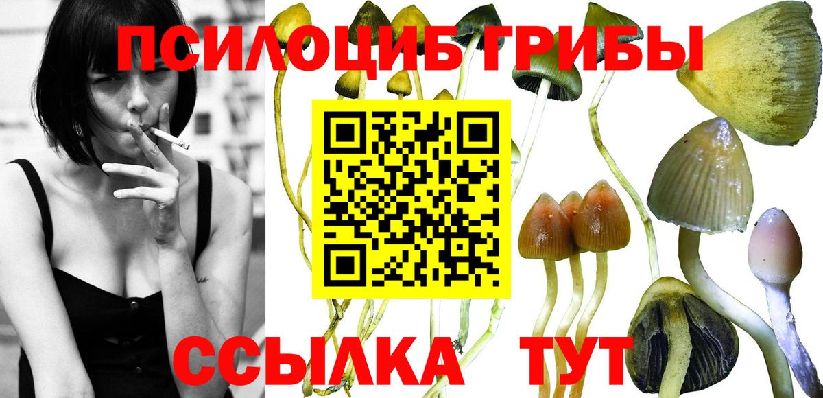 Галлюциногенные грибы MAGIC MUSHROOMS  Галлюциногенные грибы GOLDEN TEACHER  Североуральск  Вход с VPN 
